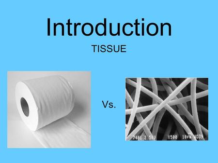 Introduction TISSUE Vs.. Terminology  epi-  -crine  macr-  erythro-  leuko-  thrombo-  intra-  Derm-  Histo-  chondro-  oss-  vas-  hyal-