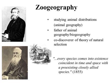 Zoogeography studying animal distributions (animal geography) father of animal geography/biogeography co-discoverer of theory of natural selection ...every.