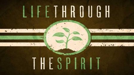 Romans 8:5 Those who live according to the flesh have their minds set on what the flesh desires; but those who live in accordance with the Spirit have.