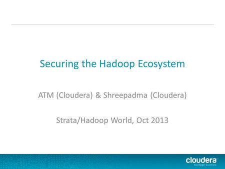 Securing the Hadoop Ecosystem