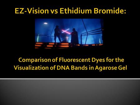  Used plasmid DNA, [pDNA] = 0.2ug/uL  Made two 1% Agarose Gel: 1 with EtBr & 1 without EtBr  Prepared 6 samples of pDNA to be loaded in each gel with.