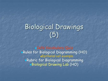 Biological Drawings (5)