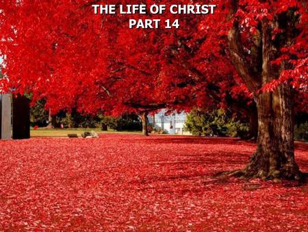 THE LIFE OF CHRIST PART 14 THE LIFE OF CHRIST PART 14.