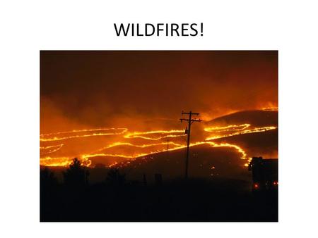 WILDFIRES!.