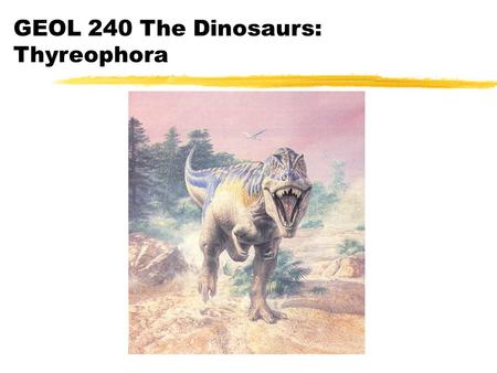 GEOL 240 The Dinosaurs: Thyreophora. What is a Thyrephora.