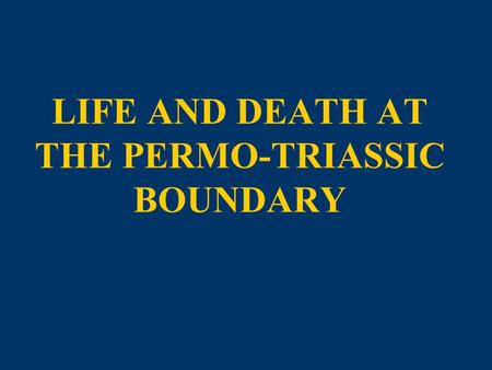 LIFE AND DEATH AT THE PERMO-TRIASSIC BOUNDARY. Pelycosaur and Therapsid Evolution In their position on the family tree of life, the Pelycosaurs are the.