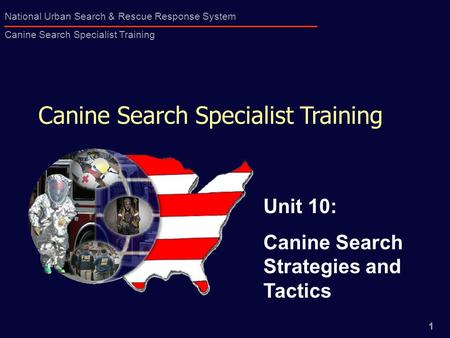 Canine Search Specialist Training