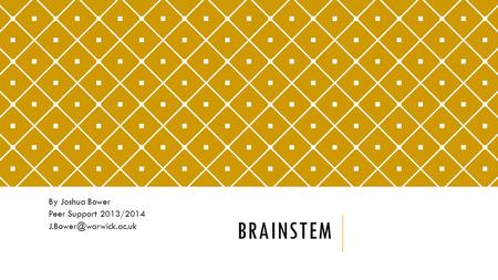 BRAINSTEM By Joshua Bower Peer Support 2013/2014