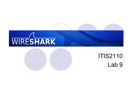 ITIS2110 Lab 9. Scenario There are web network problems at your site Your manager has assigned you to track down the problem  He “highly” suggests you.