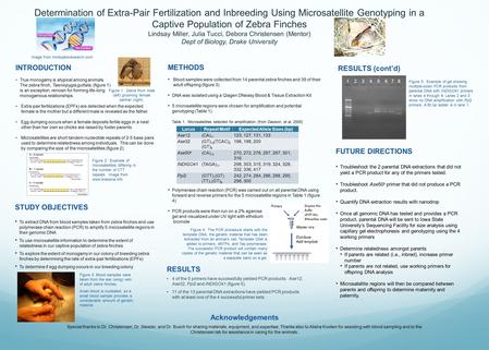 Determination of Extra-Pair Fertilization and Inbreeding Using Microsatellite Genotyping in a Captive Population of Zebra Finches Lindsay Miller, Julia.