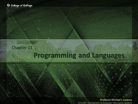 Professor Michael J. Losacco CIS 1150 – Introduction to Computer Information Systems Programming and Languages Chapter 13.