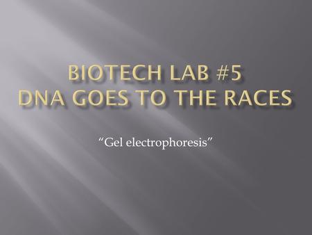 “Gel electrophoresis”. Gel electrophoresis is a procedure for separating a mixture of molecules through a stationary material (gel) in an electrical field.