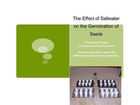 The Effect of Saltwater on the Germination of Seeds A Research Project Conducted by Andy Herrmann Seeds are placed in water with different amounts of salt.