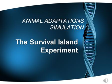 ANIMAL ADAPTATIONS SIMULATION The Survival Island Experiment.