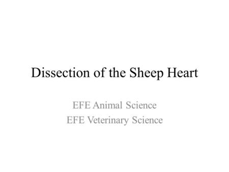 Dissection of the Sheep Heart