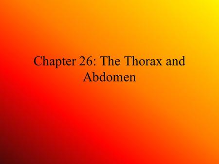 Chapter 26: The Thorax and Abdomen