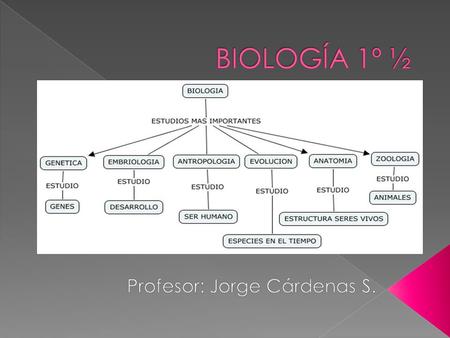 Profesor: Jorge Cárdenas S.