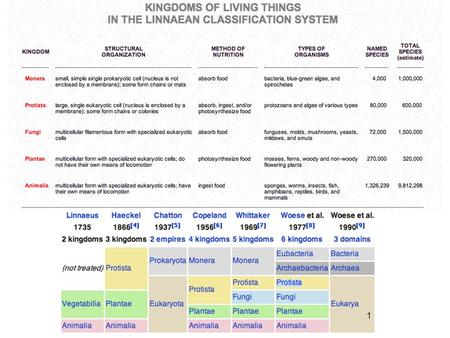 1. 2 TAXONOMIC RANKS Domain/Superkingdom Kingdom Subkingdom Infrakingdom/Branch Superphylum/Superdivision Phylum/Division Subphylum Infraphylum Microphylum.