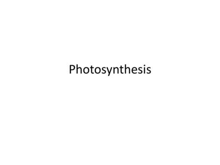 Photosynthesis.