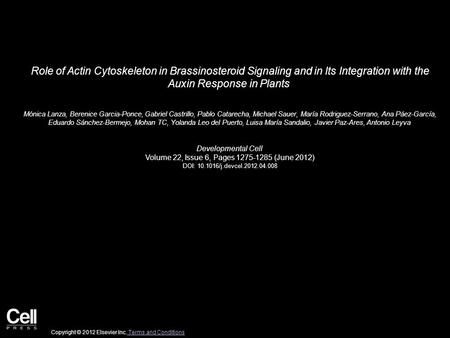 Role of Actin Cytoskeleton in Brassinosteroid Signaling and in Its Integration with the Auxin Response in Plants Mónica Lanza, Berenice Garcia-Ponce, Gabriel.