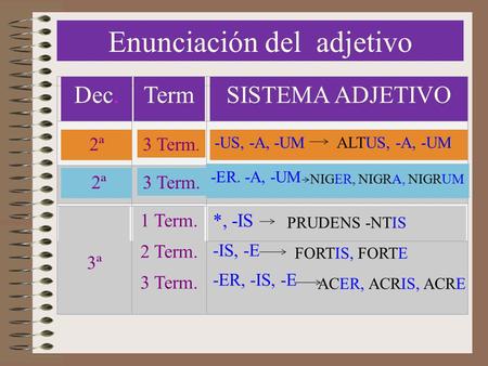 Enunciación del adjetivo Dec.TermSISTEMA ADJETIVO 2ª -US, -A, -UM 2ª -ER. -A, -UM 3ª 1 Term. 2 Term. 3 Term. *, -IS -IS, -E -ER, -IS, -E 3 Term. ALTUS,