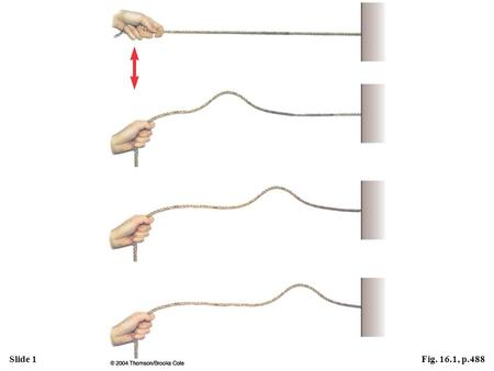 Slide 1Fig. 16.1, p.488. Slide 2Fig. 16.2, p.488.