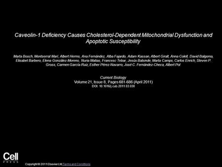 Caveolin-1 Deficiency Causes Cholesterol-Dependent Mitochondrial Dysfunction and Apoptotic Susceptibility Marta Bosch, Montserrat Marí, Albert Herms, Ana.