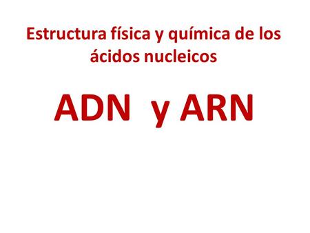 Estructura física y química de los ácidos nucleicos