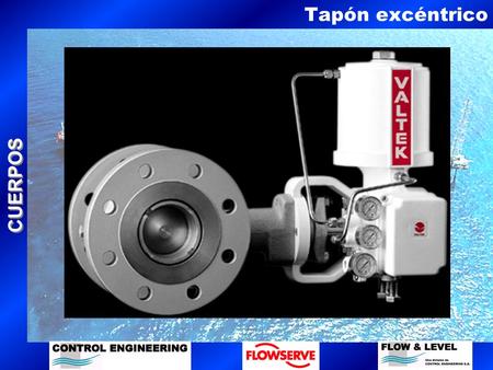 CUERPOS Tapón excéntrico. CUERPOS Tapón excéntrico.