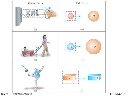 Slide 1Fig. 5.1, p.113. Slide 2Fig. 5.1a, p.113 Slide 3Fig. 5.1b, p.113.