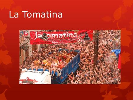 La Tomatina.