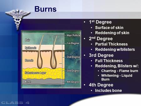 Burns 1 st Degree Surface of skin Reddening of skin 2 nd Degree Partial Thickness Reddening w/blisters 3rd Degree Full Thickness Reddening, Blisters w/: