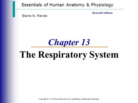 Chapter 13 The Respiratory System