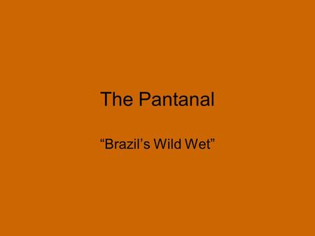 The Pantanal “Brazil’s Wild Wet”. Discovering the Pantanal The largest wetland in the world In three countries, mostly in Brazil Mostly privately owned.