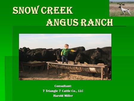 SNOW CREEK ANGUS RANCH SNOW CREEK ANGUS RANCH Consultant: 7 Triangle 7 Cattle Co., LLC Harold Miller.