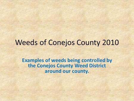 Weeds of Conejos County 2010 Examples of weeds being controlled by the Conejos County Weed District around our county.