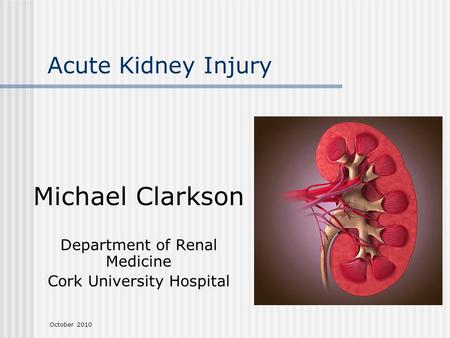 October 2010 Acute Kidney Injury Michael Clarkson Department of Renal Medicine Cork University Hospital.