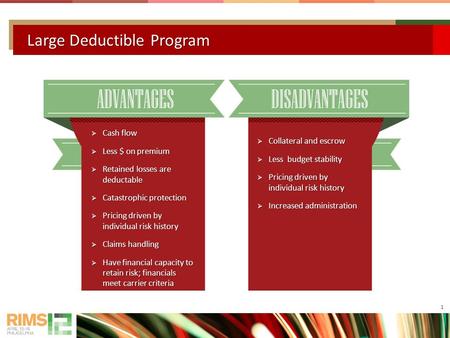 Large Deductible Program  Cash flow  Less $ on premium  Retained losses are deductable  Catastrophic protection  Pricing driven by individual risk.