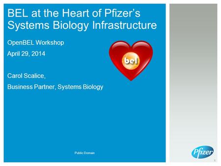 Public Domain 1 BEL at the Heart of Pfizer’s Systems Biology Infrastructure OpenBEL Workshop April 29, 2014 Carol Scalice, Business Partner, Systems Biology.