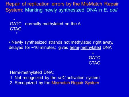 * GATC   normally methylated on the A CTAG