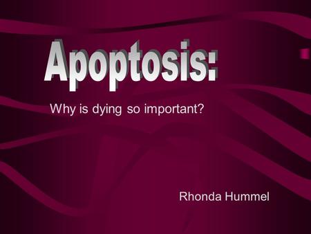 Rhonda Hummel Why is dying so important? Nobel Prize for Physiology or Medicine 2002 Co-awarded on October 7, 2002 For “genetic regulation of organ development.