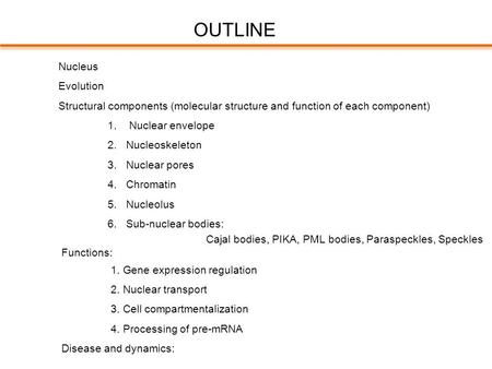 Nucleus Evolution Structural components (molecular structure and function of each component) 1. Nuclear envelope 2.Nucleoskeleton 3.Nuclear pores 4.Chromatin.