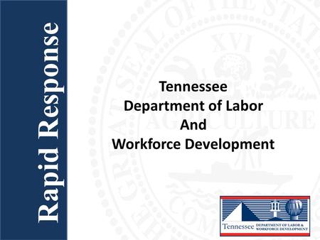 Workforce Development