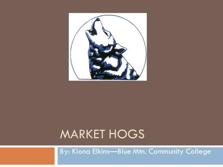 MARKET HOGS By: Kiona Elkins—Blue Mtn. Community College.