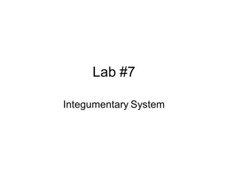 Lab #7 Integumentary System. Overview of the Integumentary System.