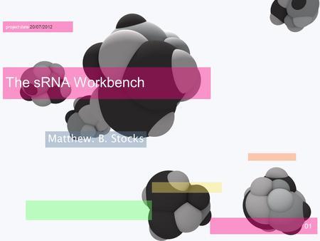 01 The sRNA Workbench project date 20/07/2012 Matthew. B. Stocks.