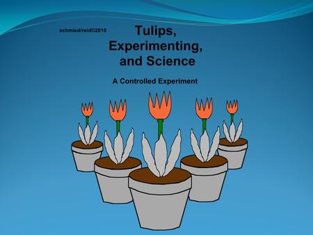 1. What is the experimental process? 1. What is the experimental process? (Inquiry or Scientific method) 2. What are the key items to consider when.