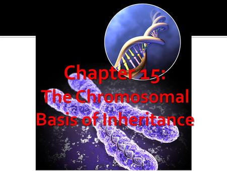 Chapter 15: The Chromosomal Basis of Inheritance