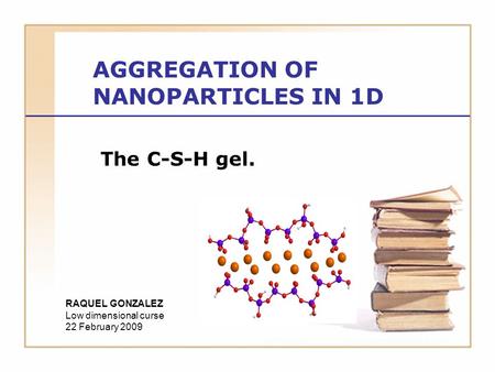 AGGREGATION OF NANOPARTICLES IN 1D The C-S-H gel. RAQUEL GONZALEZ Low dimensional curse 22 February 2009.