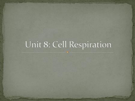 Unit 8: Cell Respiration